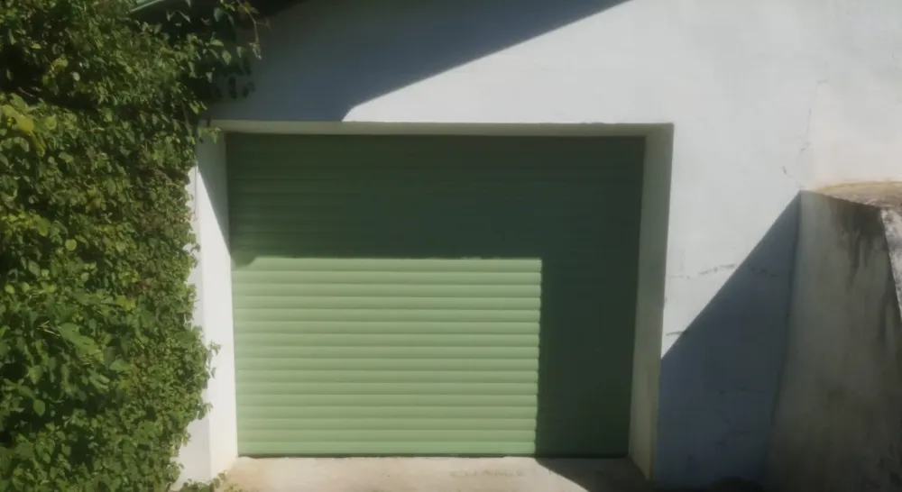 PHOTO-2020-09-03-12-30-11 (1)