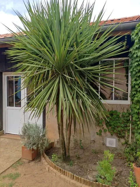 PHOTO-2022-06-21-14-06-05